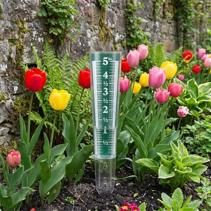 6 Pcs Rain Gauge Outdoor Easy Read Acrylic Rain Gauges Measure Precipitation 5 Inch Capacity Magnifying Scale for Garden Yard Lawn Field Green