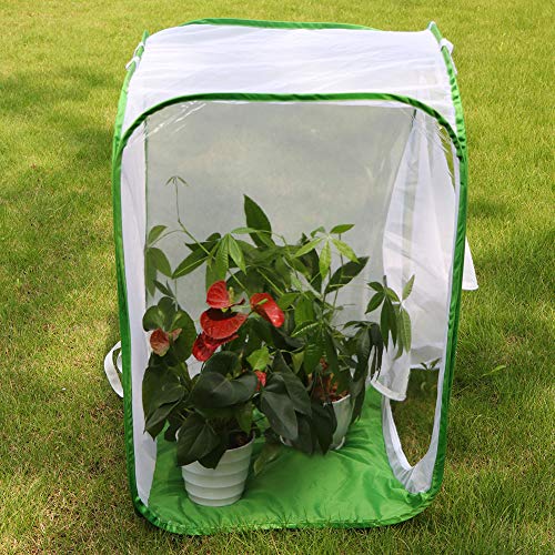 RESTCLOUD 36" Large Monarch Butterfly Habitat, Giant Collapsible Insect Mesh Cage Terrarium Pop-up 24 x 24 x 36 Inches - color: White with Green
