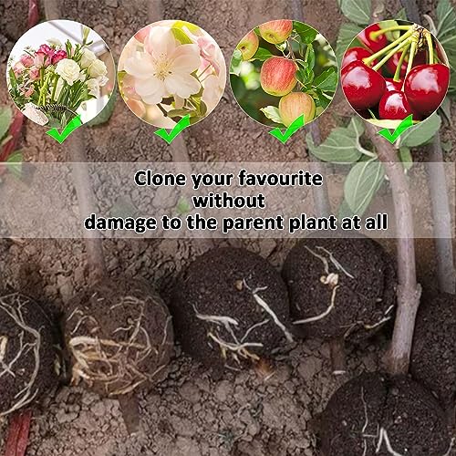 2-Inch Plant Rooting Device - 10Pcs Reusable Air Layering Propagation Balls, High Pressure Growing Box for Grafting (Transparent) - color: Transparent