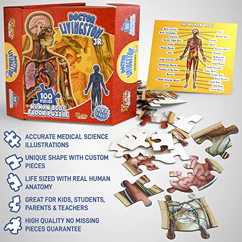 Human Anatomy Kids Floor Puzzle - Dr Livingston Jr's 100-Piece Full Body Jigsaw Puzzle - 4 FT Medically Accurate Floor Puzzles for Kids Ages 6-8, 4-8, 8-10 - Educational Toys for Children, Toddlers - style: Full Human Body Puzzle