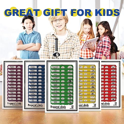 60pcs Microscope Slides with Specimens for Kids – Kids Prepared Stereo Microscope Slides for Stereo Microscope and Other, Animals Insects Plants Flowers Specimens - size: 60pcs