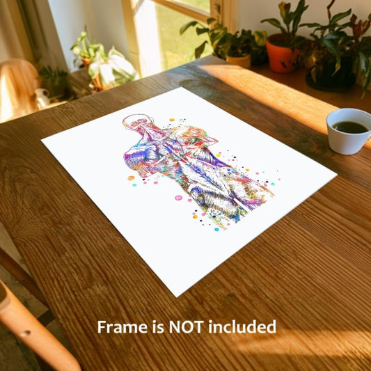 Dignovel Studios 24X30 Unframed Back Muscle Human Anatomy Watercolor Art Print Poster Medical Science Orthopedic Surgery Skeleton Chiropractor Clinic Office Wall Décor DN737 - size: 30"L x 24"W