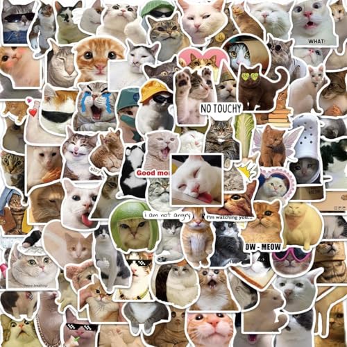 Feng Qi 100PCS Cute Cat Stickers, Funny Kitten Meme Stickers for Laptop Scrapbook Water Bottles Guitar Suitcase Journaling, Waterproof Vinyl Cat Decals for Teens Adults - color: Cat Meme