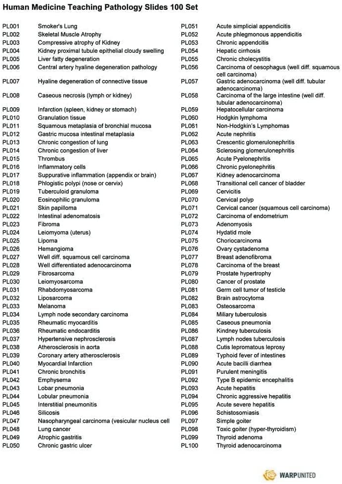 100-Set Prepared Microscope Pathology Slides for Human Medical Education