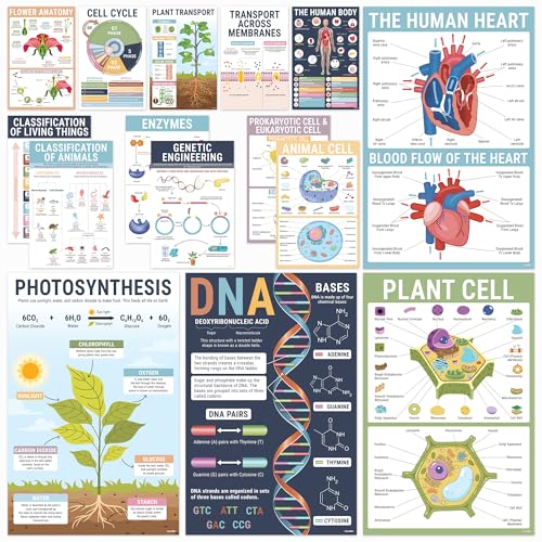 BrightenKidz Biology Posters for Classroom, 15 Pack 11x17 Science Charts - color: Biology Posters
