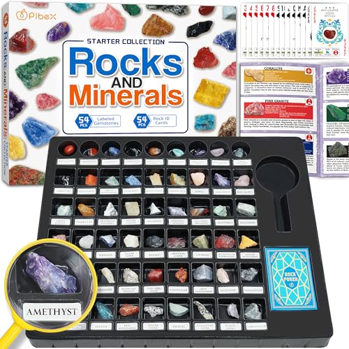 PIBEX Rock Collection Starter Kit, 54 Rocks & Minerals with Name Labels - style: 54PC Starter Edition