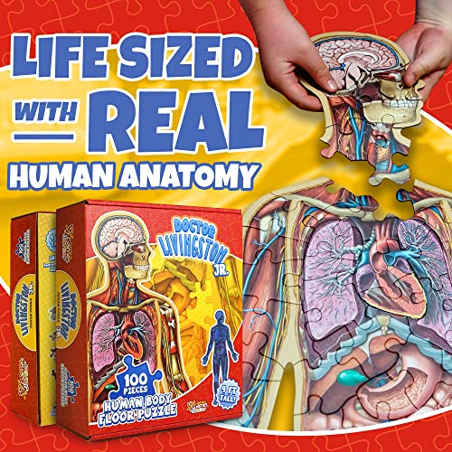 Human Anatomy Kids Floor Puzzle - Dr Livingston Jr's 100-Piece Full Body Jigsaw Puzzle - 4 FT Medically Accurate Floor Puzzles for Kids Ages 6-8, 4-8, 8-10 - Educational Toys for Children, Toddlers - style: Full Human Body Puzzle
