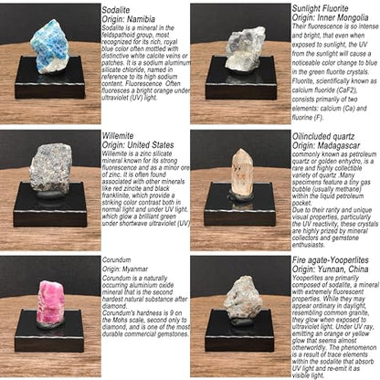 Ultimate Fluorescent Minerals Collection, 12 Rare Glowing Stones Set with UV Flashlight and Display Stand, STEM Geology Science Gift for Students and Collectors