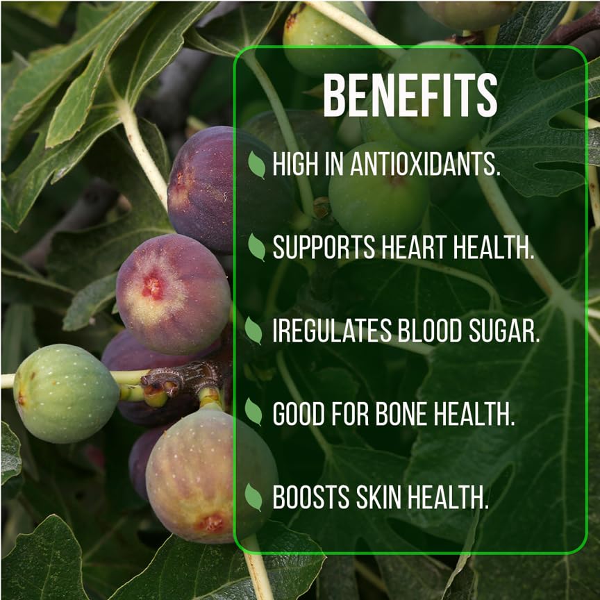 Fig Tree Collection (4 Pack) Edible Fruit Plant from Our Optimal Picks | Easy to Grow Plants for Sustainable Living | Grow Your own Food on Your Edible Organic Garden | Live for Planting | No Seeds - style: Collection