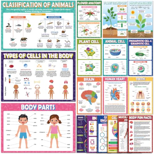 KIDS KING 18 Learning Posters - Biology (11"x17") - color: Biology