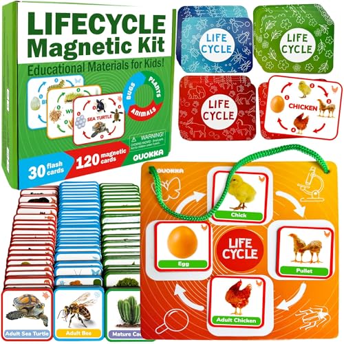 Life Cycle Toys for Kids — Magnetic Flash Cards Science Kits for Kids 3-5