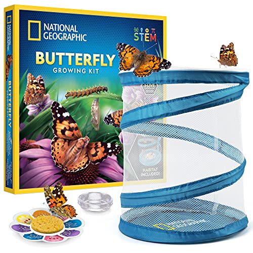 National Geographic Butterfly Growing Kit for Kids Nature Activity - style: Starter Butterfly Kit