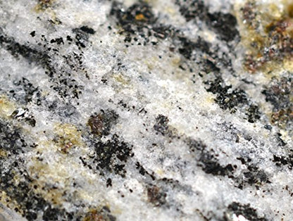 EISCO Biotite Gneiss Specimen (Metamorphic Rock), Approx. 1" (3cm)