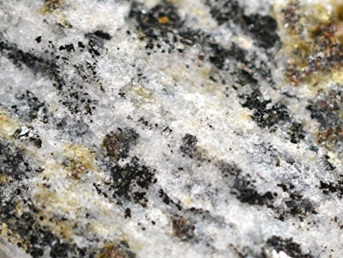 EISCO Biotite Gneiss Specimen (Metamorphic Rock), Approx. 1" (3cm)