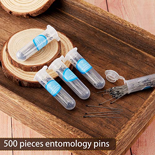 WILLBOND 500 Pieces Stainless Steel Insect Pins Kit Specimen,2 Sizes - size: 2 Size