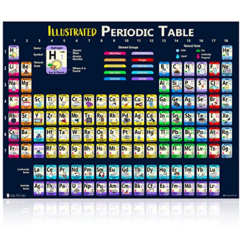 Young N Refined Periodic Table of Elements 2025 Laminated Kids Poster Illustrated (14"x19") - size: 19"L x 14"W