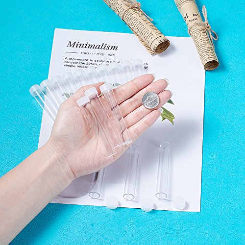 Craftdady Clear Plastic Tube Bead Chunky Bamboo Tube Beads 100Pcs Transparent Storage Test Tubes with Caps 78x13mm (3.07x0.5 inch) - color: 100pcs Tubes,78x13mm, Clear