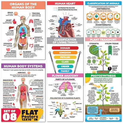 Sproutbrite 8 Pack 12" x16” Plant Cells & Human Body Science Posters