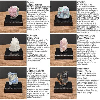 Ultimate Fluorescent Minerals Collection, 12 Rare Glowing Stones Set with UV Flashlight and Display Stand, STEM Geology Science Gift for Students and Collectors