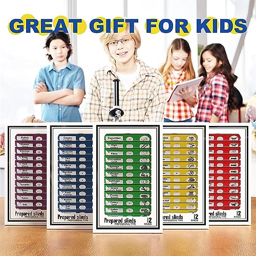 60pcs Plastic Prepared Microscope Slides - size: 60pcs