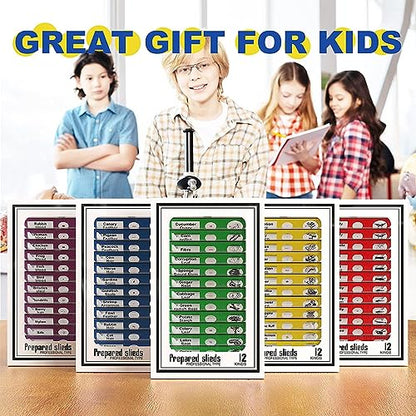 60pcs Plastic Prepared Microscope Slides - size: 60pcs