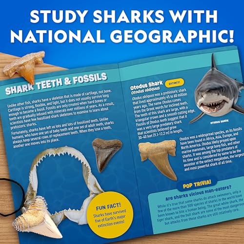 National Geographic Shark Tooth Fossil Dig Kit and Necklace for Kids