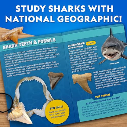 National Geographic Shark Tooth Fossil Dig Kit and Necklace for Kids