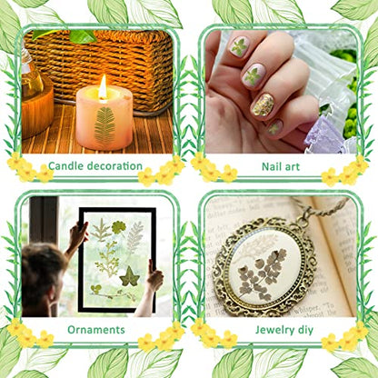 Timtin 84 Pcs Dried Pressed Leaves Flowers for Resin, Vivid - color: Vivid Style