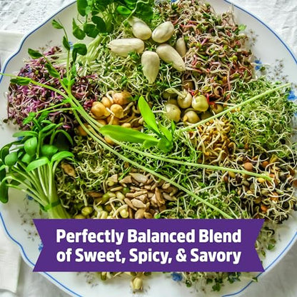 Back to The Roots 100% Organic 5-Part Salad Seeds | 1 Pound Non-GMO | Nutrient Dense, Easy to Grow, Rich in Fiber - color: Salad Mix 1lb