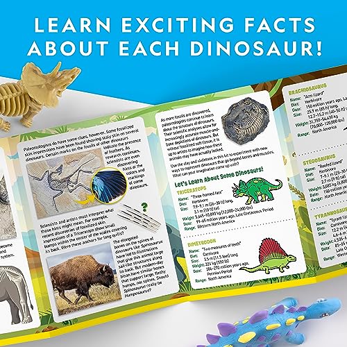 National Geographic Clay Dinosaur Arts and Crafts Activity Kit for Kids - style: Dino Clay Craft Kit