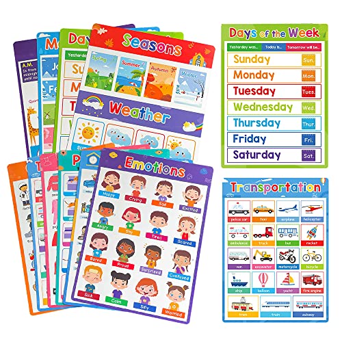 Lachilly Primer Fun Learning Poster Flash Cards - Perfect for Toddler Education, Pre-K and Kindergarten Learning Activities, Suitable for Autistic Children and Primary School Kids, 10 Sheets - style: Primer 10P