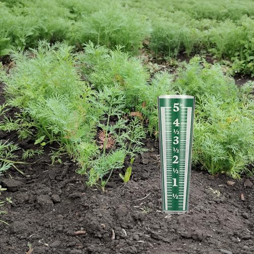 6 Pcs Rain Gauge Outdoor, 5 Inch Capacity Plastic Easy to Read Rain Gauges Measure and Monitor Precipitation Magnifying Scale and Numbers for Garden Yard Field Lawn (Blue, Green)