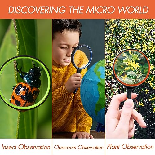 Leffis 4 Pack Magnifying Glass, 10X Non-Slip Handheld Reading Magnifier - color: 4 Pack(green/Yellow/Orange/Blue) With Lanyard