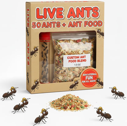 50 Live Ants for Ant Farms (2 Tubes) with Ant Food Premium Custom Mix - style: 50 Live Ants+Food