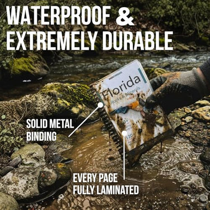 Florida Rocks & Minerals Identification Field Guide | Waterproof