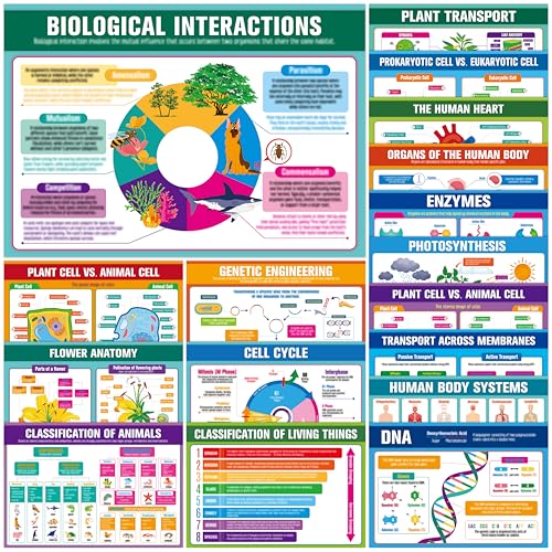 17 Laminated Biology Posters, Human Body System, Cell Anatomy, DNA, Photosynthesis, Educational Science Charts For Middle & High School, Learning Tool For Classroom, Bulletin Board, Room, 11”x16” - color: 17 Laminated Biology Posters