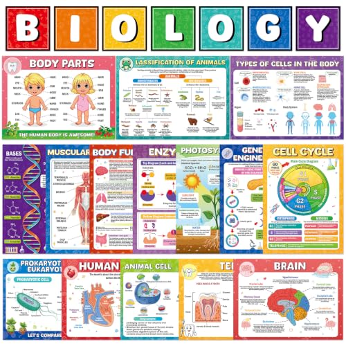 25 PCS Life Science Posters Set Colorful Scientific Biology Classroom Decoration Educational Biology Poster Charts Vibrant Science Bulletin Board Decor for Home School Teacher Class Wall Door Supplies