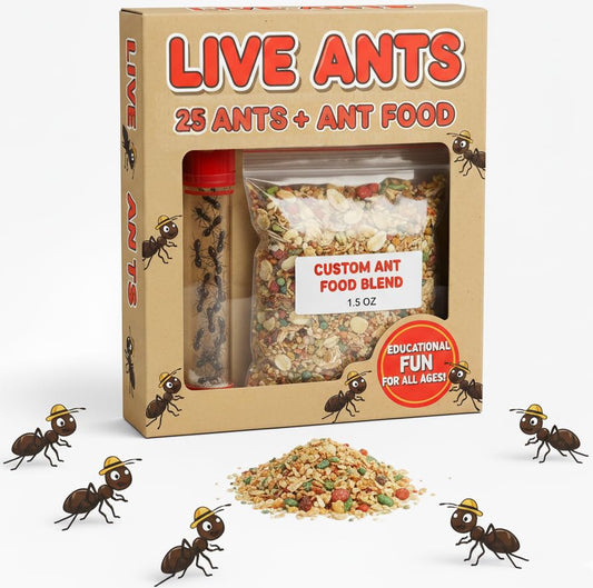 25 Live Ants for Ant Farms (1 Tube) with Ant Food Premium Custom Mix - style: 25 Live Ants+Food