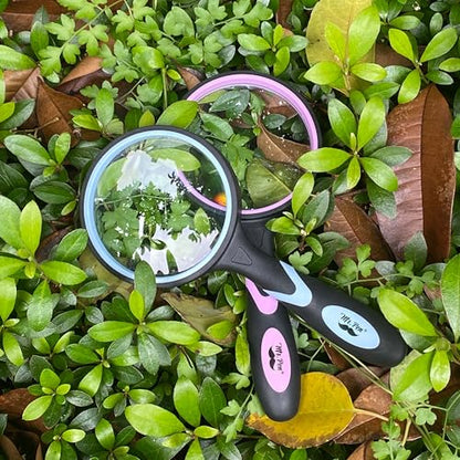 Mr. Pen- Magnifying Glass, 2 Pack, 10X Magnifier, 75mm Glass Lens - color: Pastel, size: 10X Magnifier
