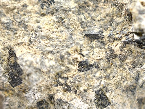 EISCO Andesite Specimen (Igneous Rock), Approx. 1" (3cm) - Pack of 12