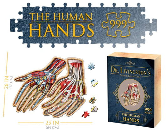 Dr. Livingston's Human Hands Anatomy Puzzle - A Medically Accurate Jigsaw Puzzle of the Hands - Educational and Engaging Toy about the Human Body - Unique Science Gift for Doctors, Nurses and Teachers - style: The Human Hands