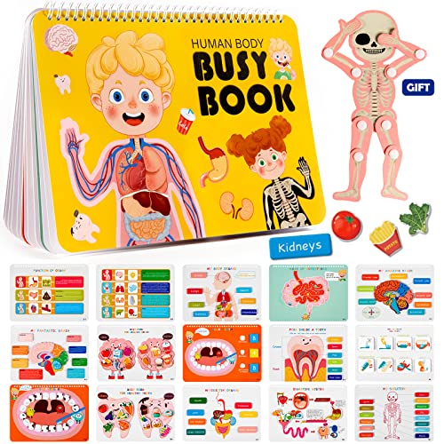 Freebear Montessori Busy Book for Kids, Human Body Anatomy Book for Toddlers, Preshool Kindergarten Learning Activities, Autism Sensory Toys, Travel Toys, Gifts for Girls and Boys 4 5 6 7 8 Years - style: Human structure 1