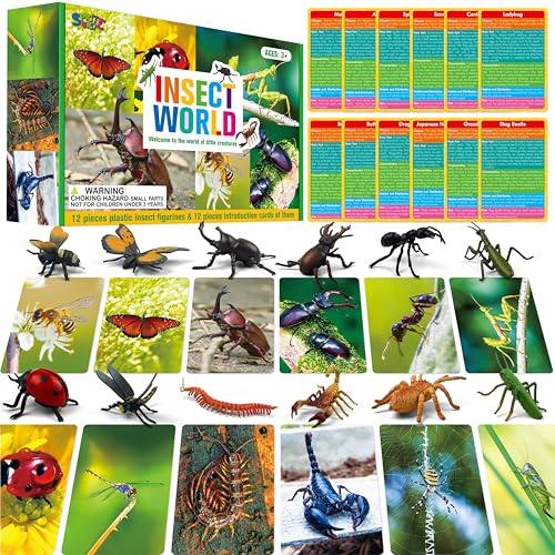 12 PCS Plastic Insect Figurines with 12 Introduction Flashcards, Small Creature Learning Recognition Cards Realistic Bug Models Educational Learning Toy Set for Kids, Classroom - style: Insect Set (including cards)